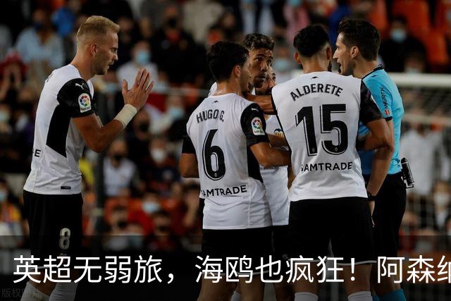 英超无弱旅，海鸥也疯狂！阿森纳3球惨败，拉亚成了远射背景板