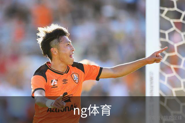 ng体育公司介绍